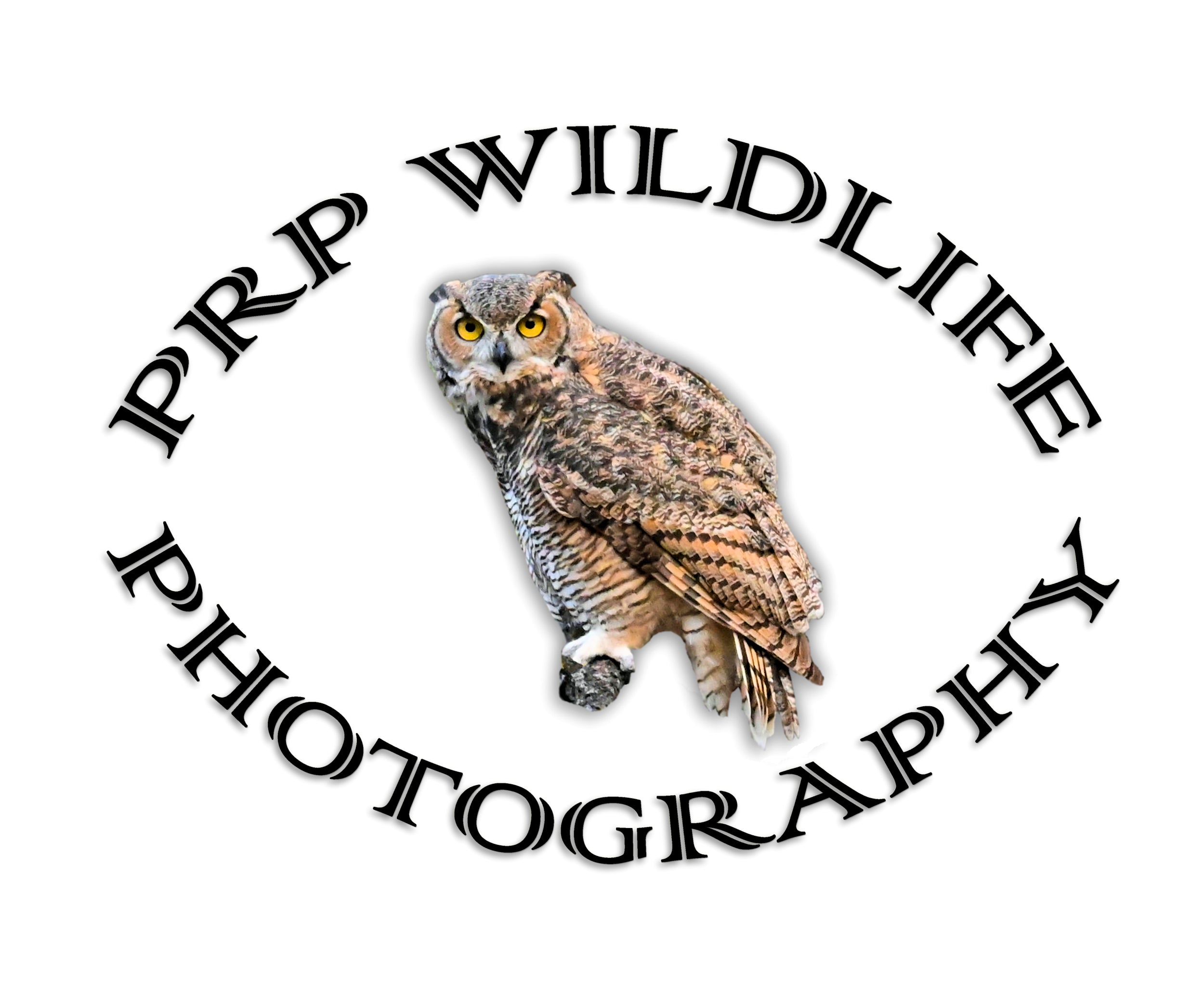 PRP Wildlife Photography